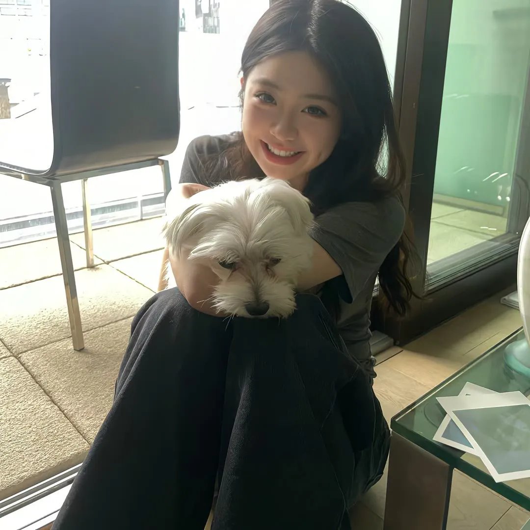 孤儿历险记
